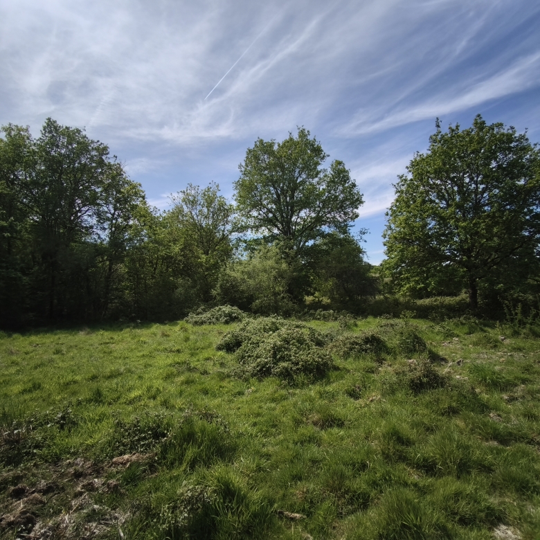 Immobilier Loreux – À restaurer sur 8 hectares de terrain environ