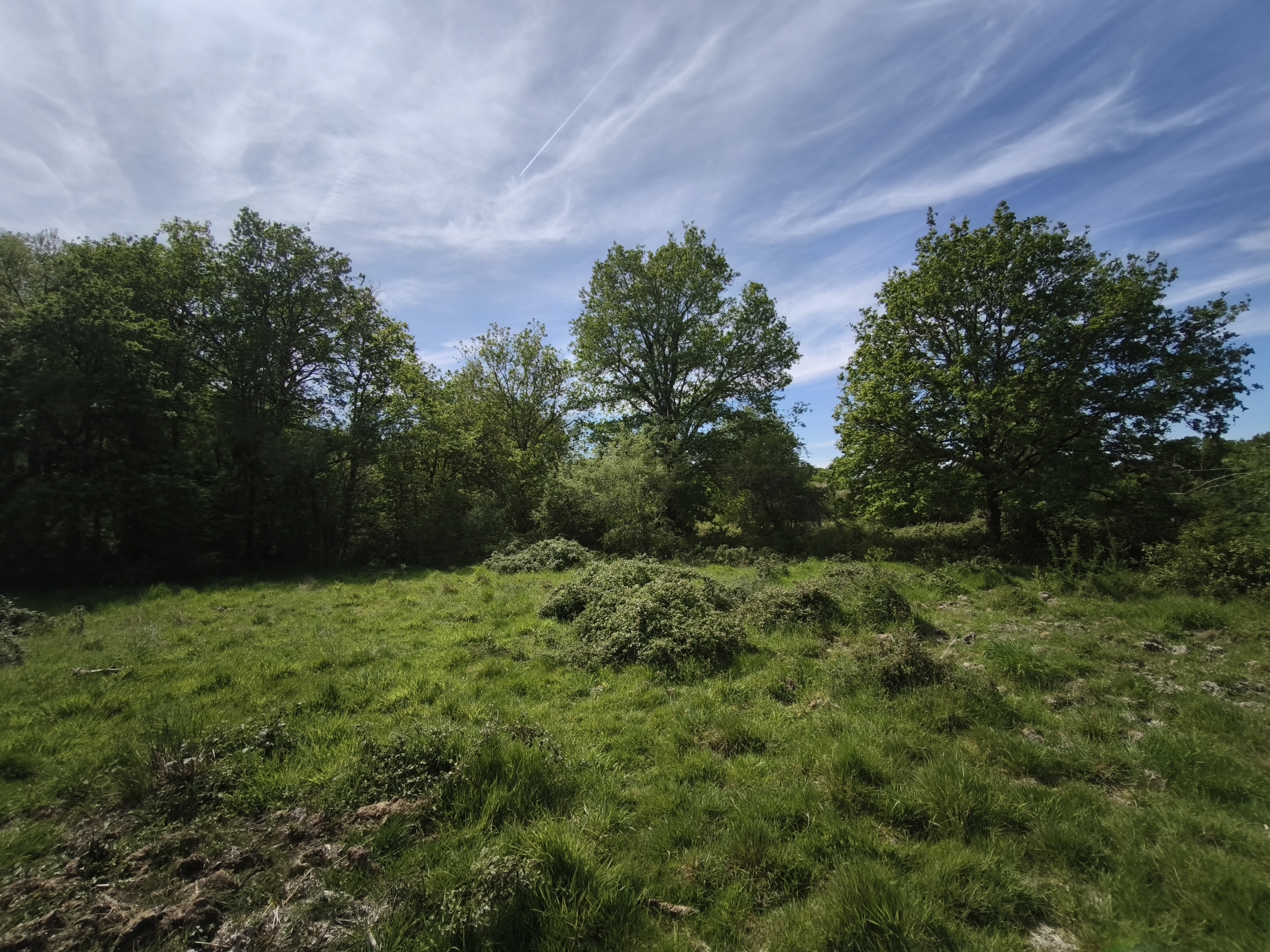 Immobilier Loreux – À restaurer sur 8 hectares de terrain environ