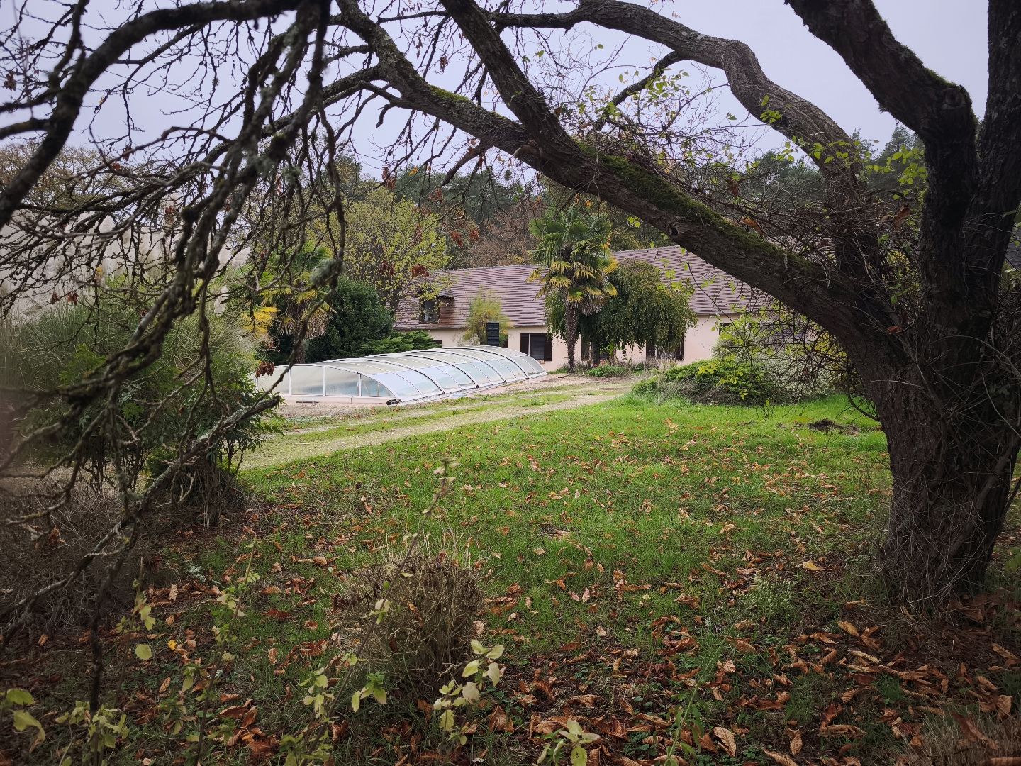 Immobilier Villefranche sur cher – Belle demeure avec piscine.