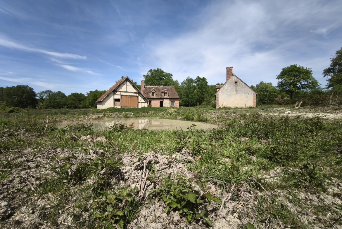 Immobilier Loreux – À restaurer sur 8 hectares de terrain environ
