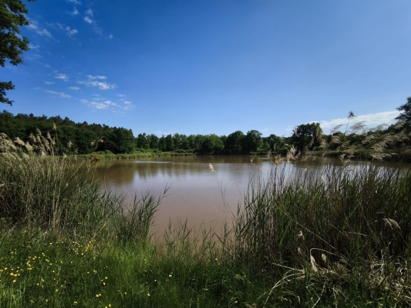 Immobilier en sologne, étang d’environ 1,2 ha sur 25600m² de Terrain.
