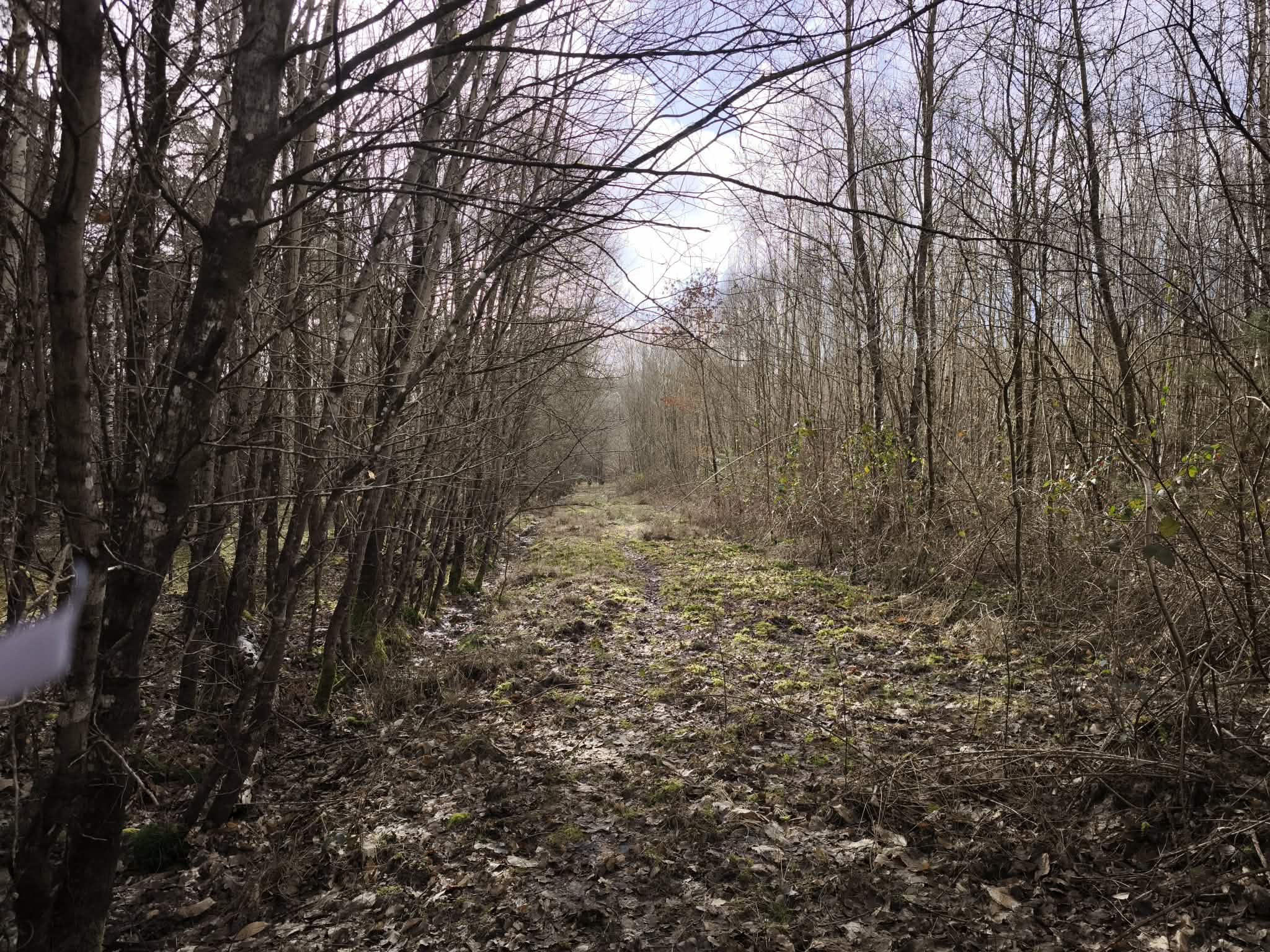 MMeL5Ymf Immobilier en Sologne – Territoire de chasse 28 hectares