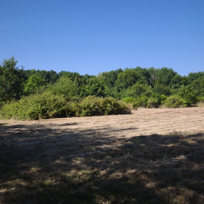 Immobilier Romorantin-Lanthenay – Maison familiale avec piscine, étang et dépendance