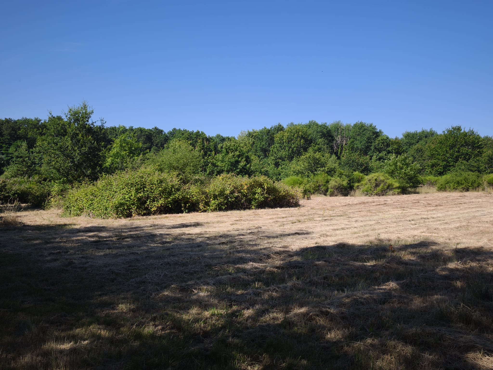 Immobilier Romorantin-Lanthenay – Maison familiale avec piscine, étang et dépendance