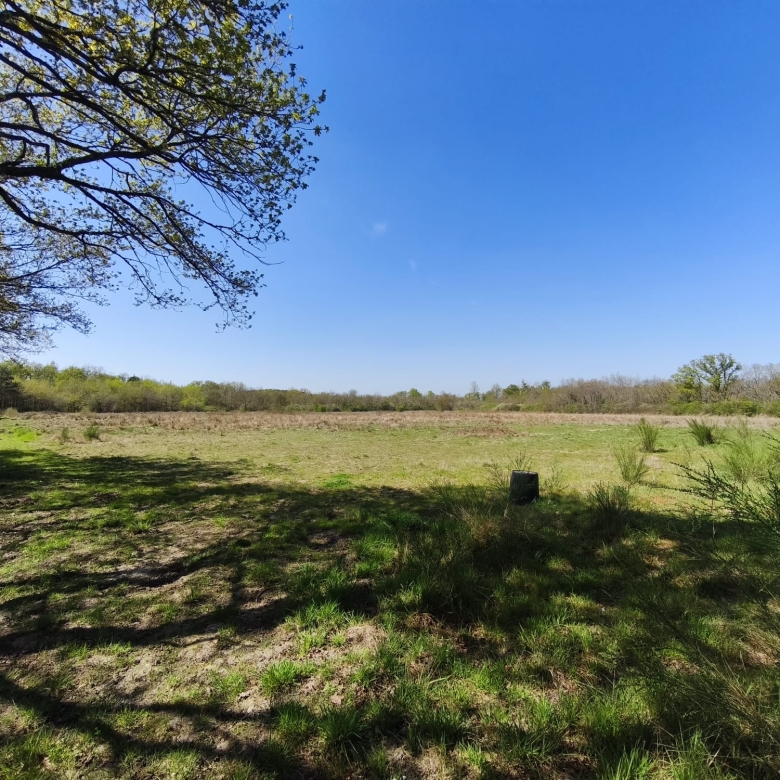 Immobilier Pruniers en Sologne – Propriété de 38 hectares