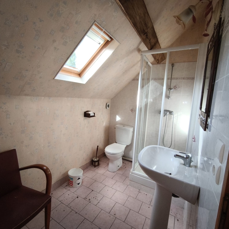 Immobilier Theillay – Longère sur 15511m² de terrain.